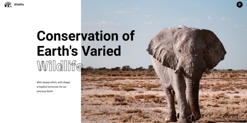 Charity website example: an elephant photograph beside a bold “Conservation of Earth’s varied wildlife” headline
